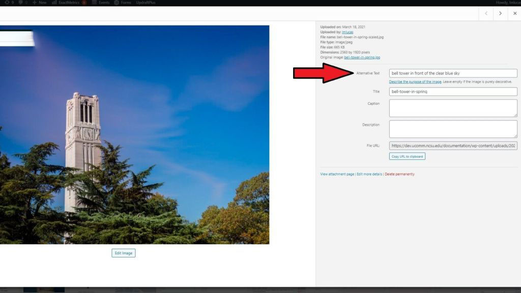 4-30 - OCH Creative Marketing Agency How to Add Alt-Text to Images for Accessibility